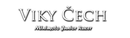 Logo Viky ech